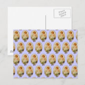 Cherubs Briefkaart (Voorkant / Achterkant)