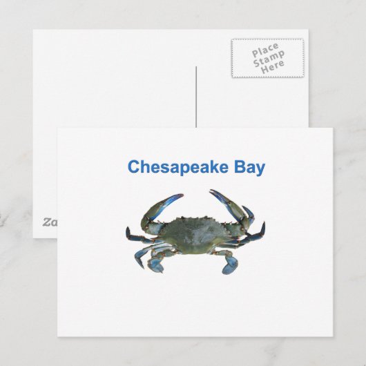 Chesapeake Bay Blue Crab Briefkaart (Voorkant / Achterkant)