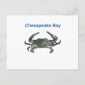 Chesapeake Bay Blue Crab Briefkaart (Voorkant)