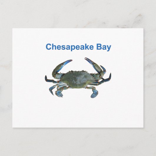 Chesapeake Bay Blue Crab Briefkaart (Voorkant)