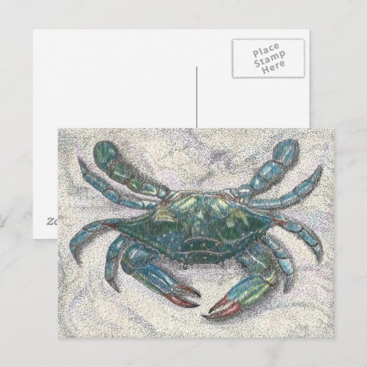 Chesapeake Bay Blue Crab Briefkaart (Voorkant / Achterkant)