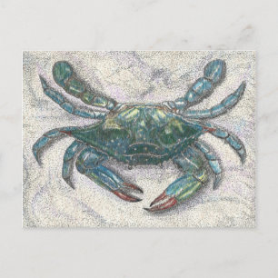 Chesapeake Bay Blue Crab Briefkaart