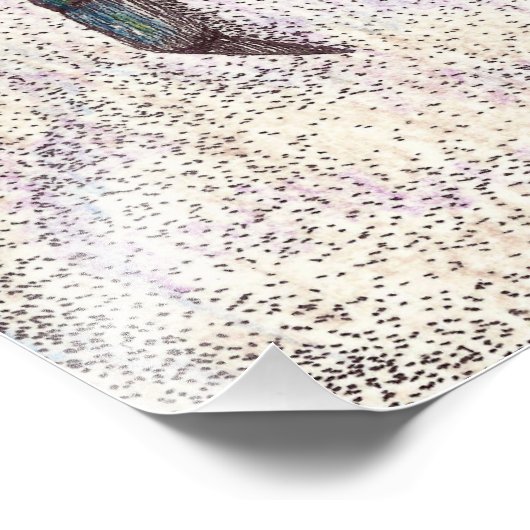 Chesapeake Bay Blue Crab Foto afdrukken (Hoek)