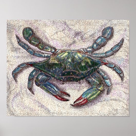 Chesapeake Bay Blue Crab Poster (Voorkant)