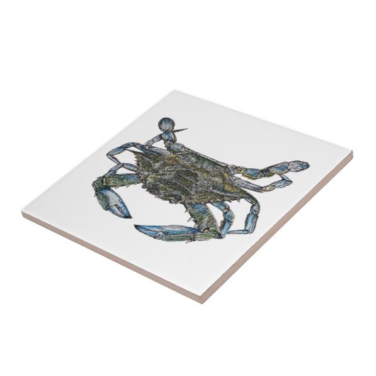 Chesapeake Bay Blue Crab Tegeltje (Zijkant)