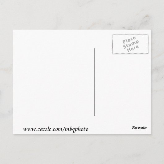 Chesapeake Bay Bridge Briefkaart (Achterkant)