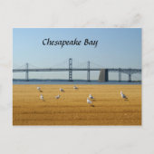Chesapeake Bay Bridge Briefkaart (Voorkant)