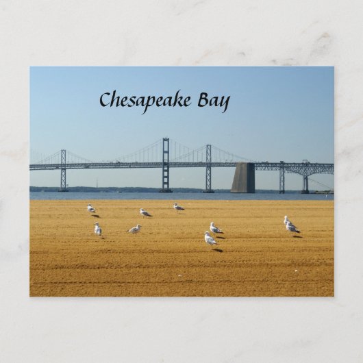 Chesapeake Bay Bridge Briefkaart (Voorkant)