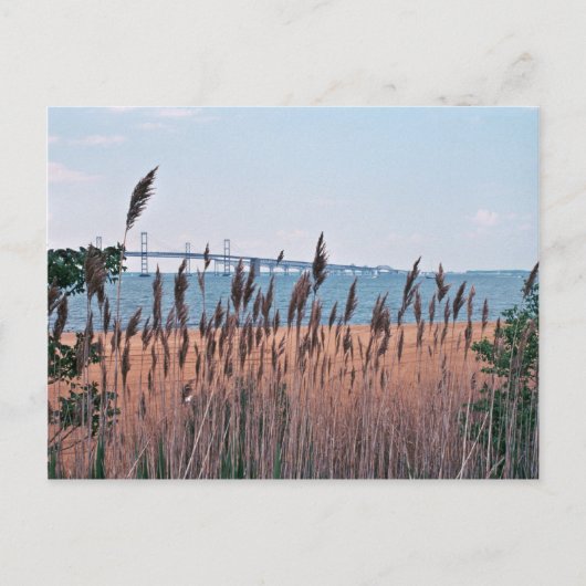 Chesapeake Bay Briefkaart (Voorkant)