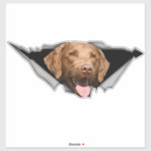 Chesapeake Bay-herstelplaat, Dog Sticker
