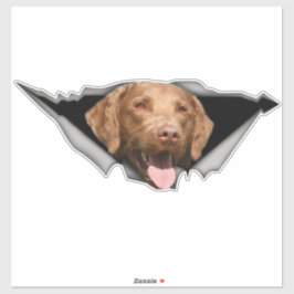 Chesapeake Bay-herstelplaat, Dog Sticker
