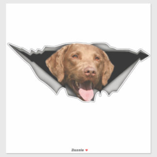 Chesapeake Bay-herstelplaat, Dog Sticker