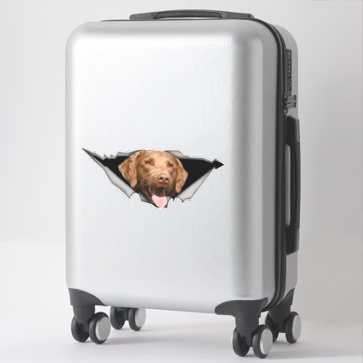 Chesapeake Bay-herstelplaat, Dog Sticker (Koffer)