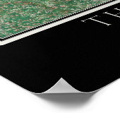 Chesapeake Bay Maryland - Virginia Satellite Map Poster (Hoek)