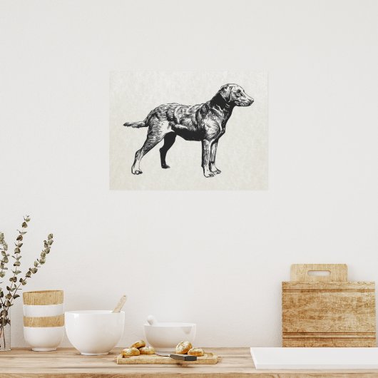 chesapeake bay-opvrager poster (Keuken)