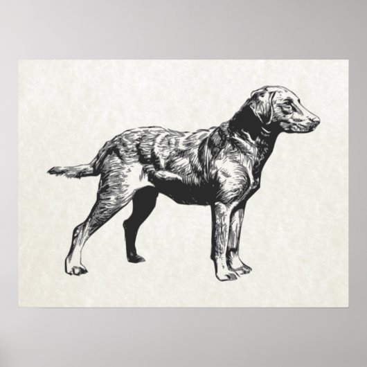 chesapeake bay-opvrager poster (Voorkant)