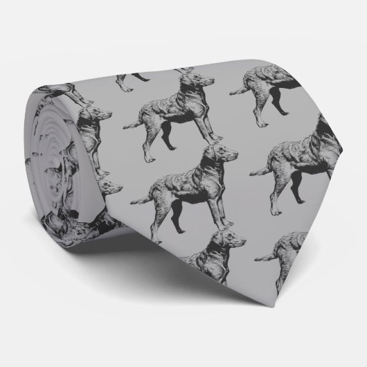 chesapeake bay-opvrager stropdas (Opgerold)