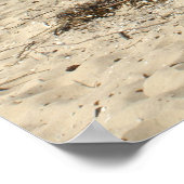 Chesapeake Bay Poster (Hoek)