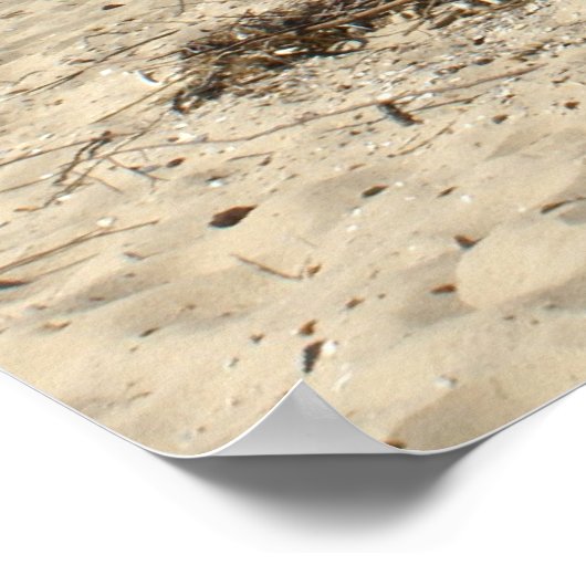 Chesapeake Bay Poster (Hoek)