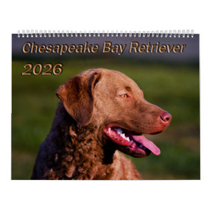 Chesapeake Bay Retriever 2026 Agenda Kalender
