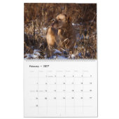 Chesapeake Bay Retriever 2026 Calendar Kalender (Feb 2027)