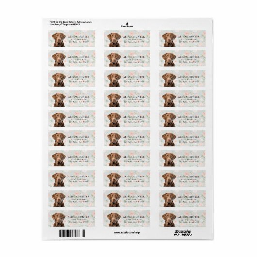 Chesapeake Bay Retriever Adreslabels Etiket (Full Sheet)
