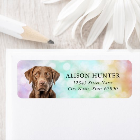 Chesapeake Bay Retriever Adreslabels Etiket (Insitu)