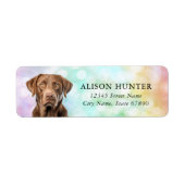 Chesapeake Bay Retriever Adreslabels Etiket (Voorkant)