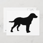 Chesapeake Bay Retriever Briefkaart (Voorkant / Achterkant)