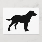 Chesapeake Bay Retriever Briefkaart (Voorkant)