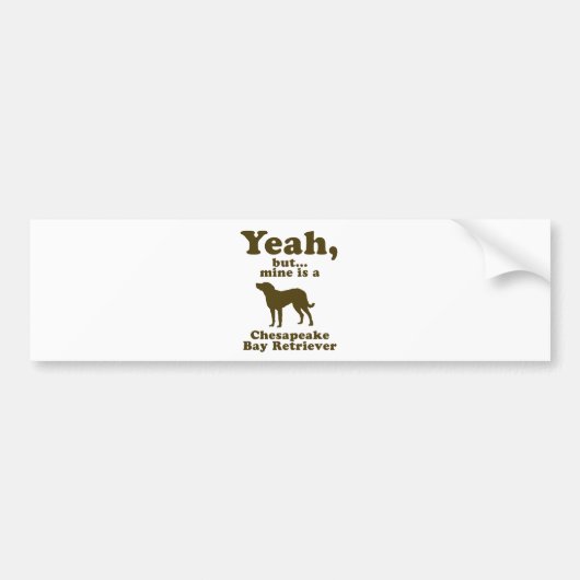 Chesapeake Bay Retriever Bumpersticker (Voorkant)