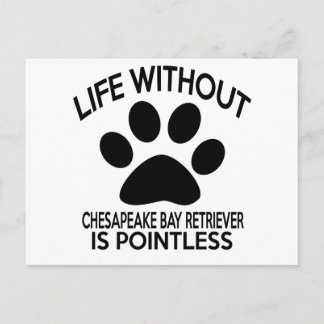CHESAPEAKE BAY RETRIEVER DESIGN BRIEFKAART