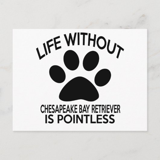 CHESAPEAKE BAY RETRIEVER DESIGN BRIEFKAART (Voorkant)