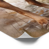 Chesapeake Bay Retriever Dog Art Print Poster (Hoek)