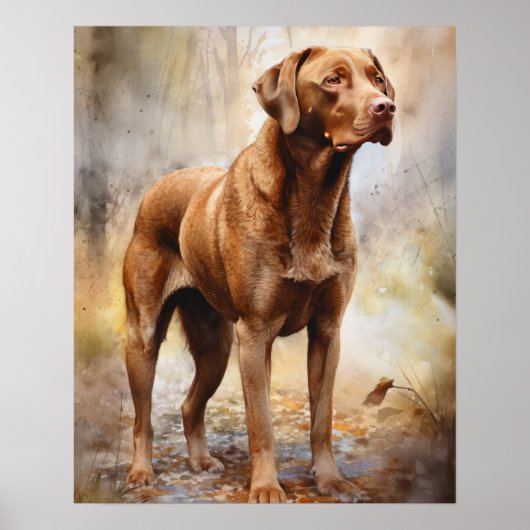 Chesapeake Bay Retriever Dog Art Print Poster (Voorkant)