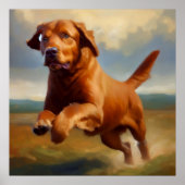 Chesapeake Bay Retriever Dog Poster (Voorkant)