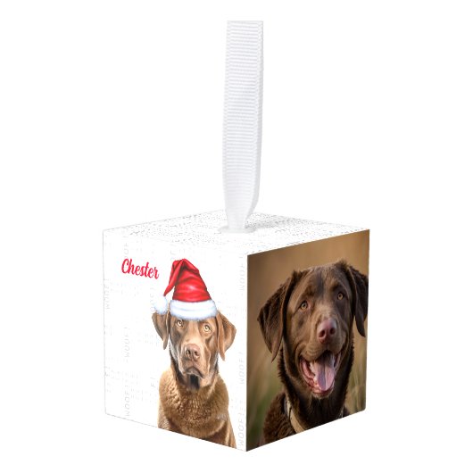 Chesapeake Bay Retriever Dog Twee Fotovakanties Decoratie (Voorkant hoekig)