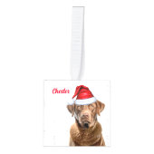 Chesapeake Bay Retriever Dog Twee Fotovakanties Decoratie (Voorkant)
