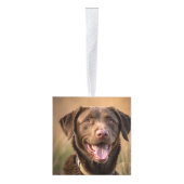 Chesapeake Bay Retriever Dog Twee Fotovakanties Decoratie (Rechts)