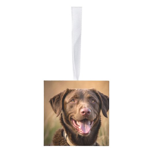Chesapeake Bay Retriever Dog Twee Fotovakanties Decoratie (Rechts)