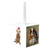 Chesapeake Bay Retriever Dog Twee Fotovakanties Decoratie (Achter hoekig)