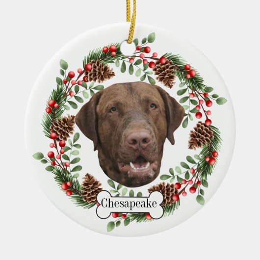 Chesapeake Bay Retriever Gepersonaliseerd Ornament (Voorkant)