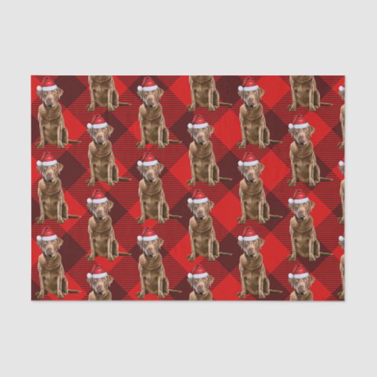 Chesapeake Bay Retriever Hond Kerstvakantie Tissuepapier (Voorkant)