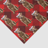 Chesapeake Bay Retriever Hond Kerstvakantie Tissuepapier (Detail)