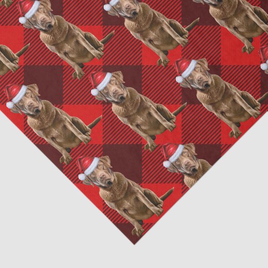 Chesapeake Bay Retriever Hond Kerstvakantie Tissuepapier (Detail)