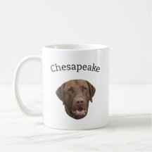 Chesapeake Bay Retriever hond