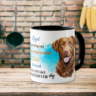Chesapeake Bay Retriever Hond Loyale Vriend Mok