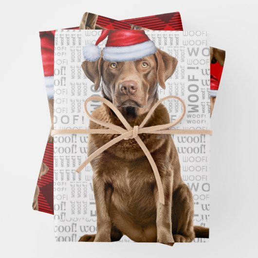 Chesapeake Bay Retriever Hondenvakantie Plaid Inpakpapier Vel (In situ)