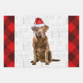 Chesapeake Bay Retriever Hondenvakantie Plaid Inpakpapier Vel (Voorkant)
