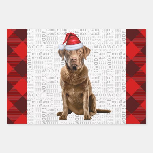 Chesapeake Bay Retriever Hondenvakantie Plaid Inpakpapier Vel (Voorkant)